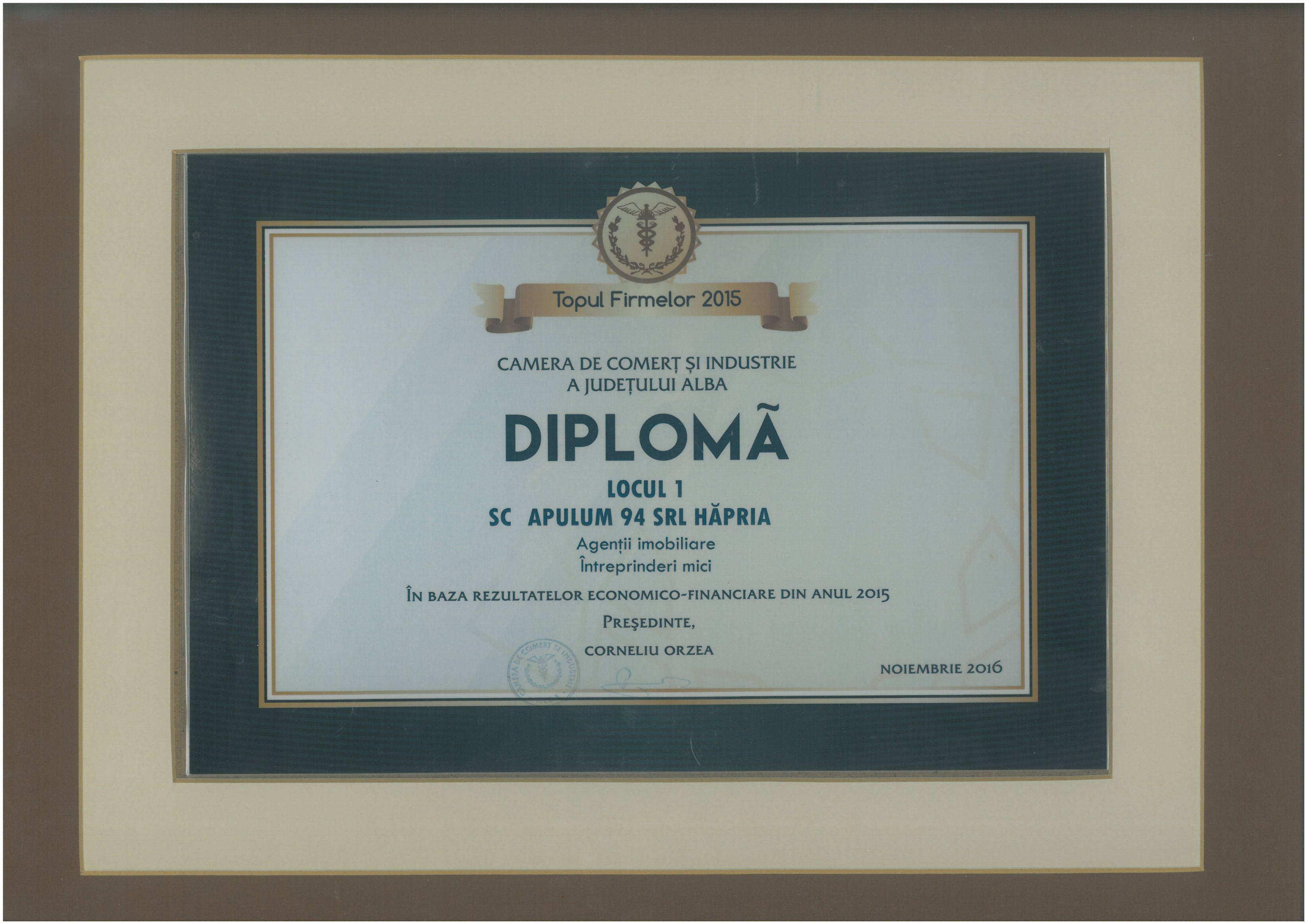 Camera de Comert si Industrie Alba – 2016 - Diploma Locul 1
