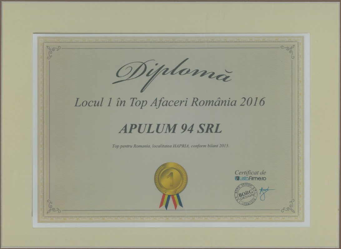 Top Afaceri Romania – 2016